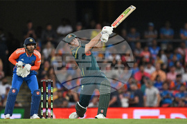 Australia India T20 Cricket