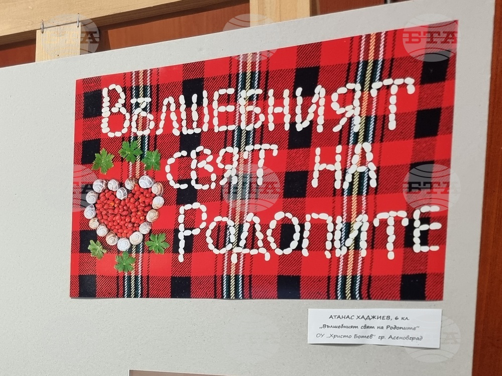 Кърджали - „Вълшебният свят на Родопите“ - изложба
