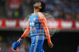 Australia India T20 Cricket