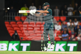 Australia India T20 Cricket