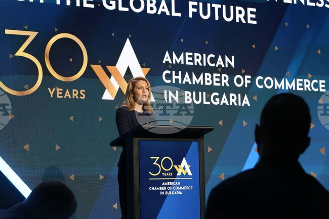 Parliament Chair Highlights Competitiveness, Transatlantic Cooperation at AmCham’s 30th Anniversary Forum
