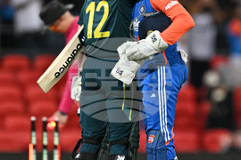 Australia India T20 Cricket