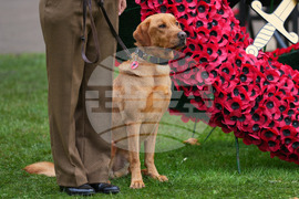 Britain Royals Remembrance