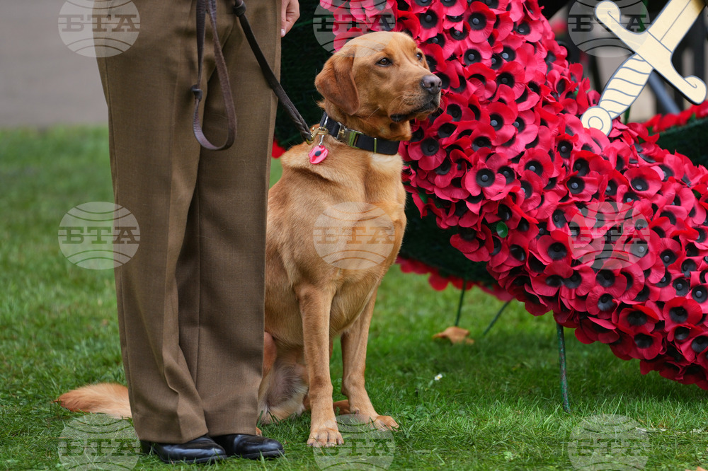 Britain Royals Remembrance