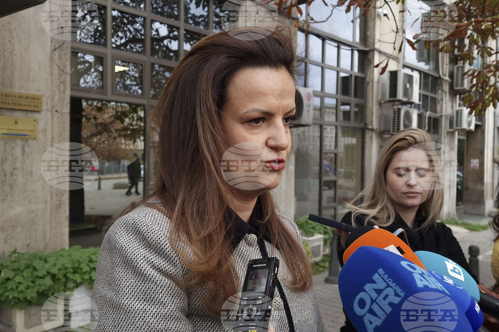 Десислава Малинова - брифинг