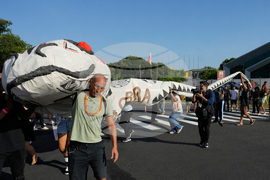 Brazil Climate COP30