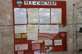 Добрич - полиция - празник