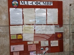 Добрич - полиция - празник