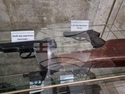 Добрич - полиция - празник