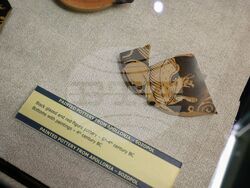 Бургас - Археологически музей - изложба