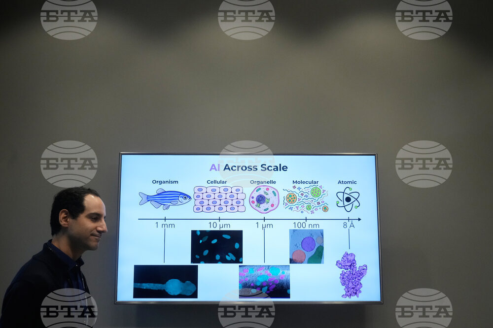 Chan Zuckerberg Philanthropy