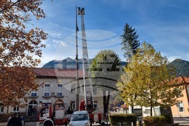 Смолян - акция по отсичане на стари дървета