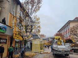Смолян - акция по отсичане на стари дървета