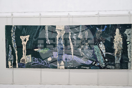 Плевен - Димитър Чолаков - изложба