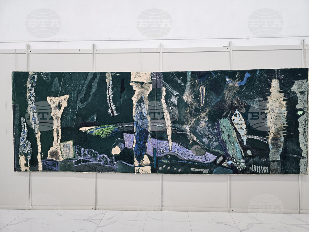 Плевен - Димитър Чолаков - изложба