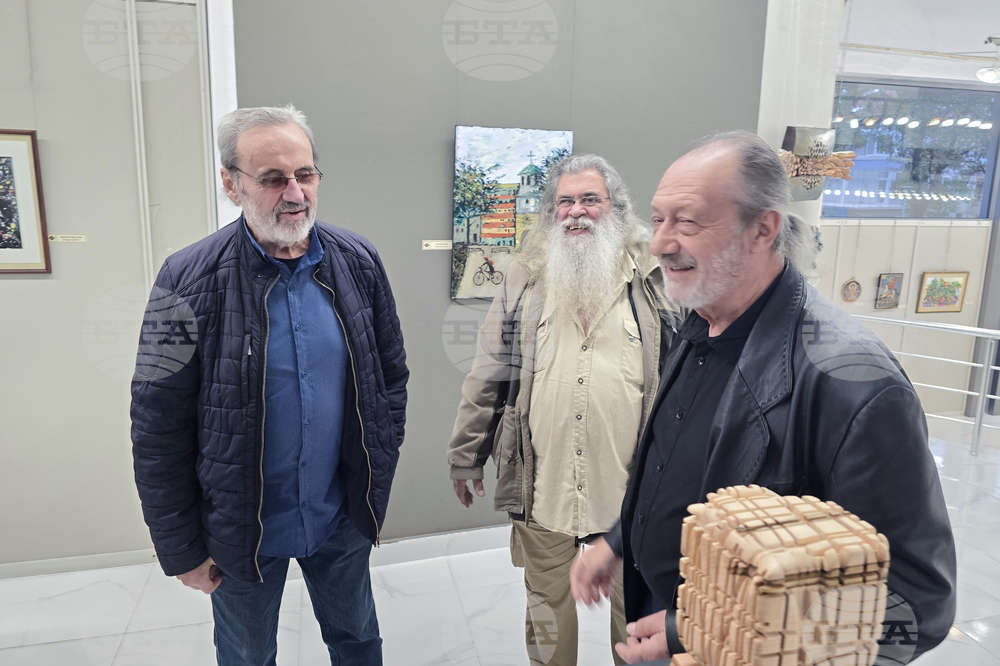 Плевен - Димитър Чолаков - изложба