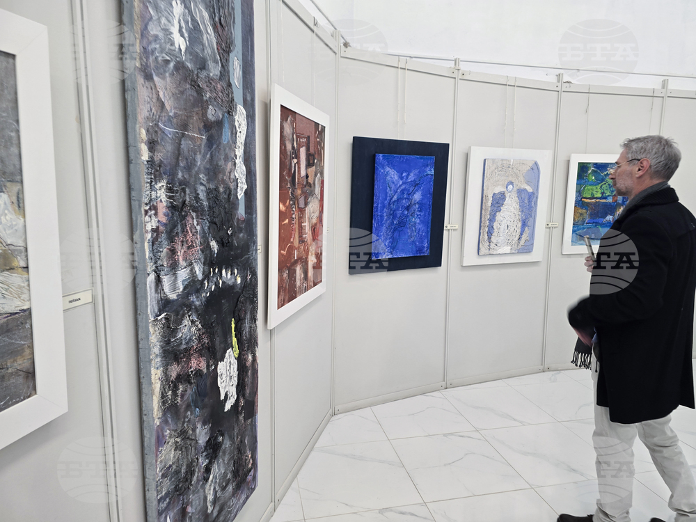 Плевен - Димитър Чолаков - изложба