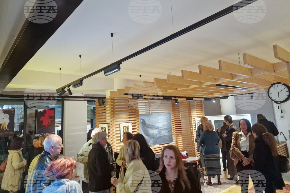 Греди Асса - изложба