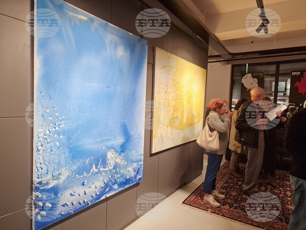 Греди Асса - изложба