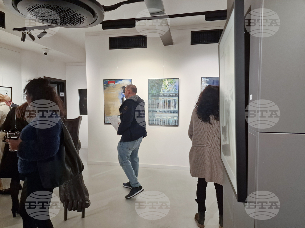 Греди Асса - изложба