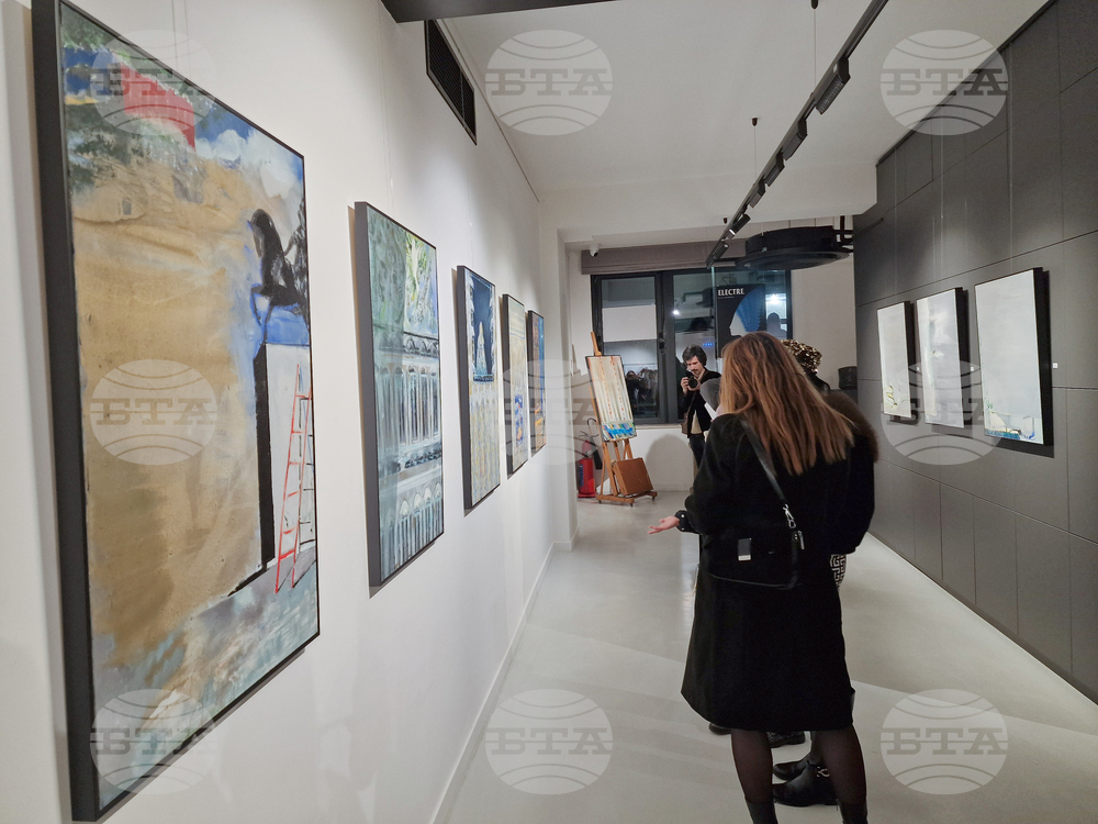 Греди Асса - изложба