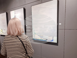 Греди Асса - изложба