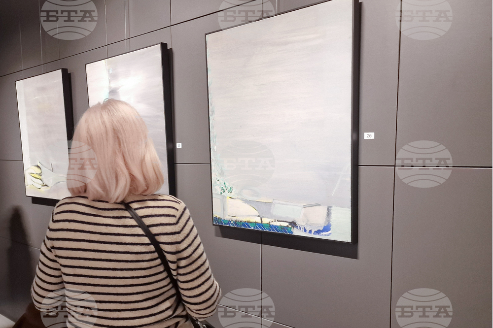 Греди Асса - изложба