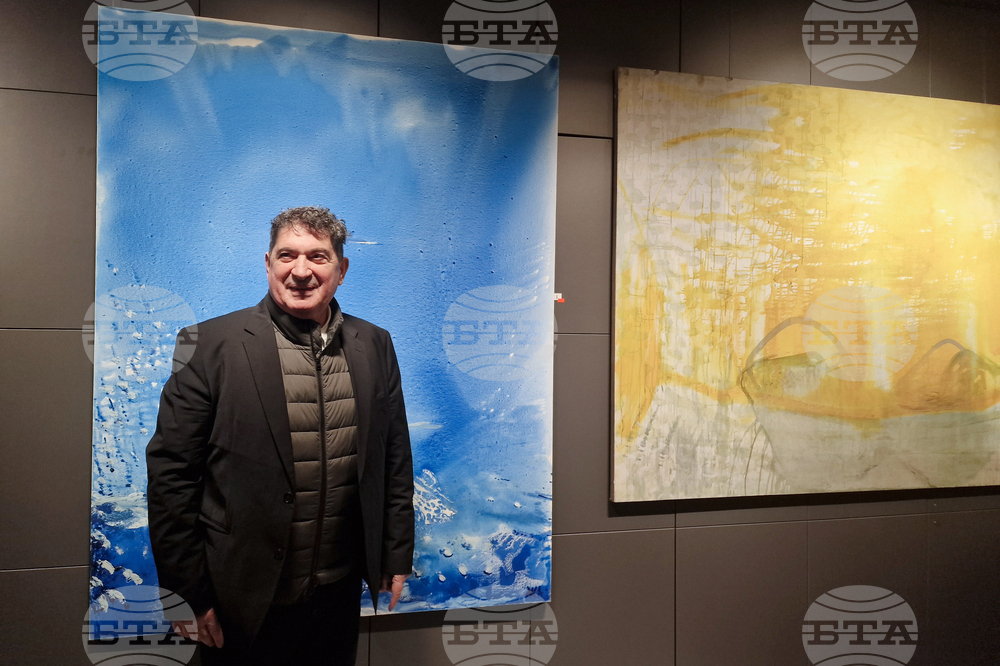 Греди Асса - изложба