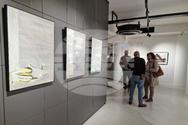 Греди Асса - изложба