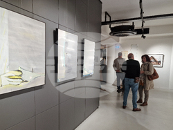 Греди Асса - изложба