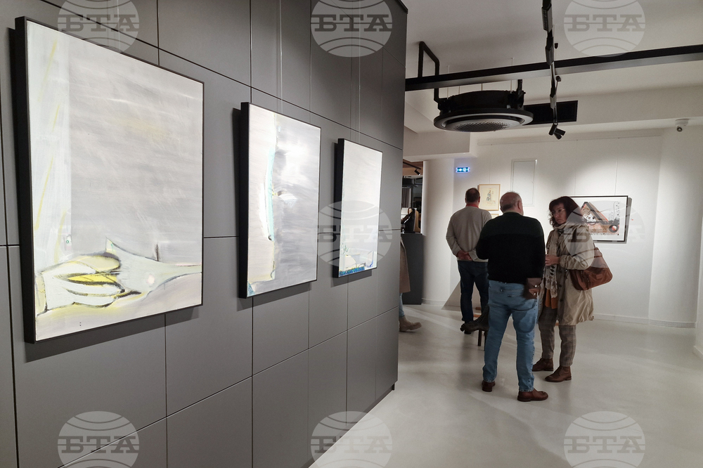 Греди Асса - изложба