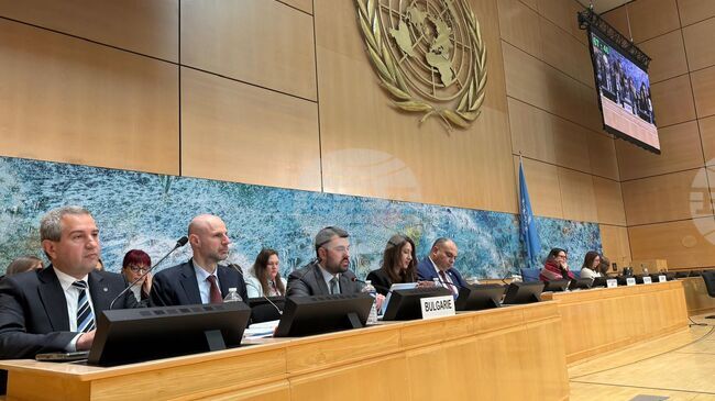 Bulgaria Adheres to Highest Standards for Protection, Promotion of Human Rights, FM Georgiev Says