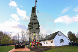 2025 Rockefeller Center Christmas Tree Cutting
