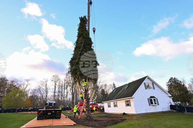 2025 Rockefeller Center Christmas Tree Cutting