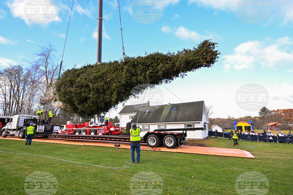 Коледното дърво за "Рокфелер център" отпътува към Ню Йорк