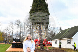 2025 Rockefeller Center Christmas Tree Cutting