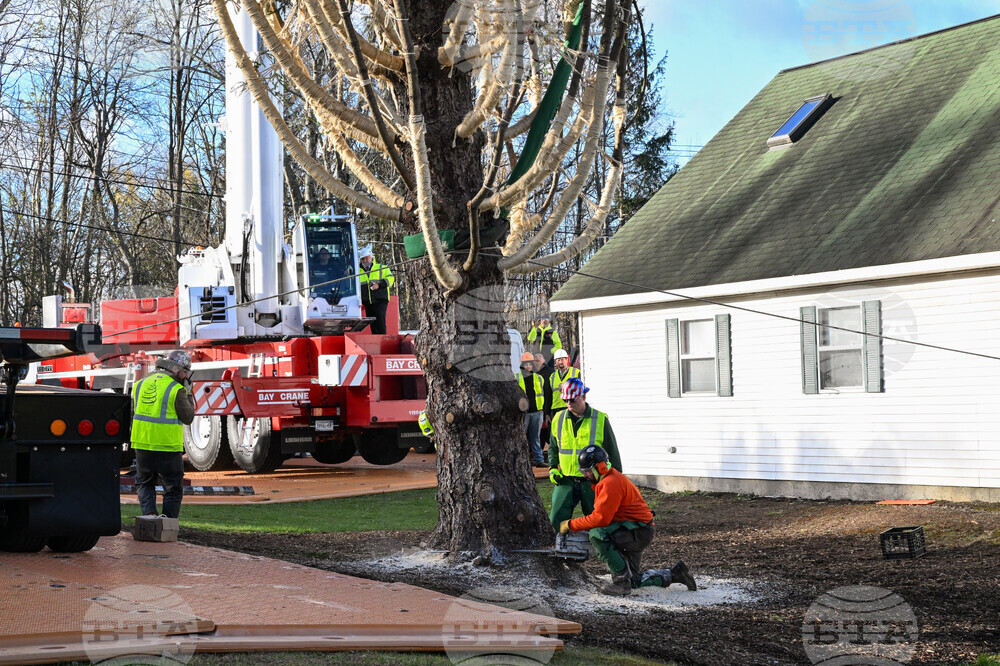 2025 Rockefeller Center Christmas Tree Cutting