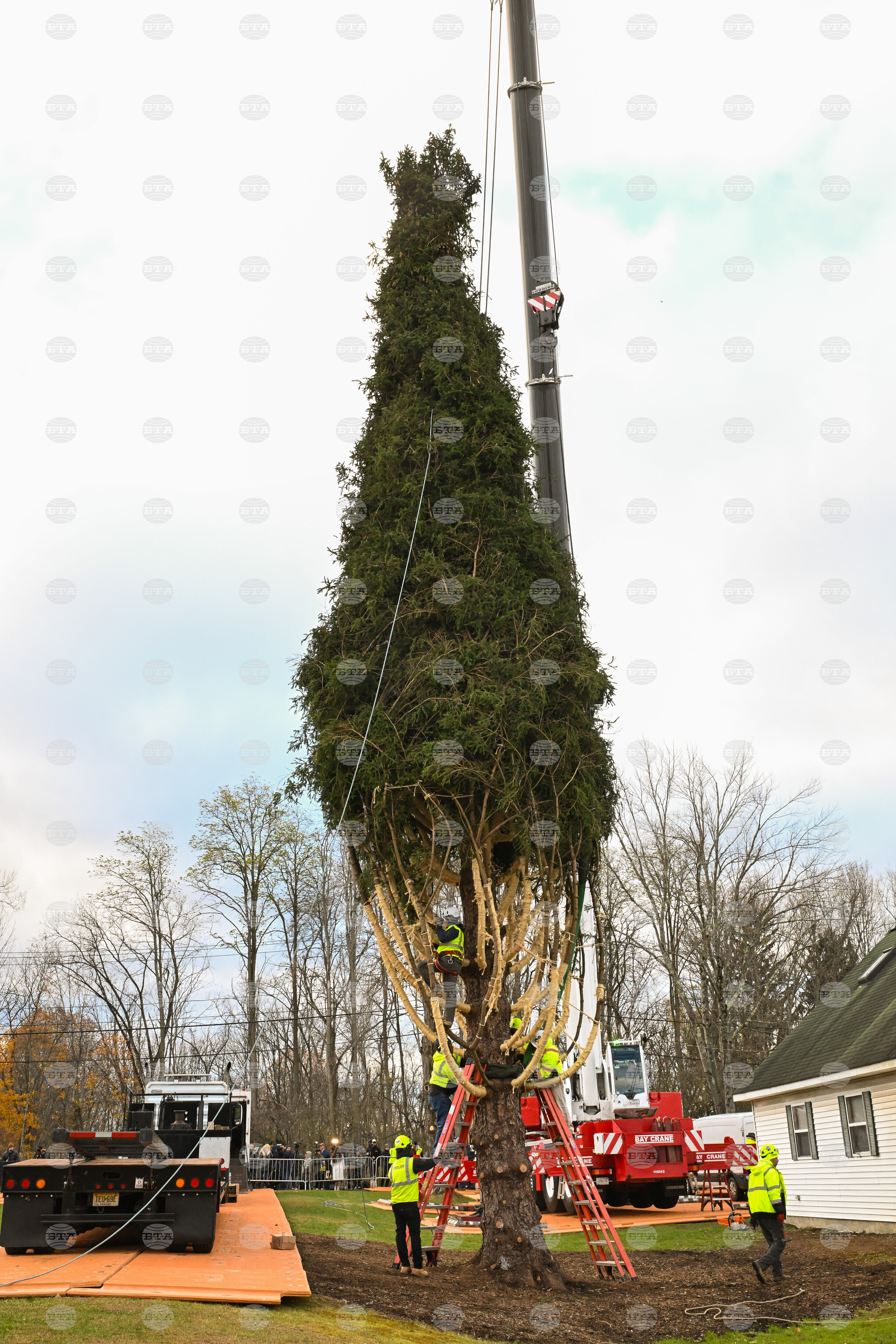 2025 Rockefeller Center Christmas Tree Cutting