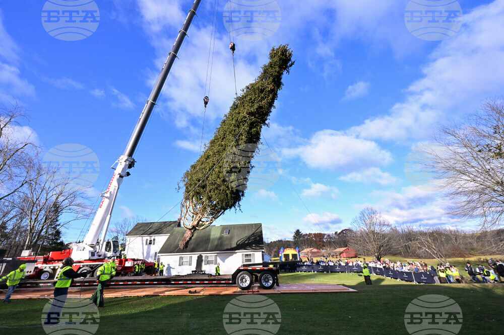 2025 Rockefeller Center Christmas Tree Cutting