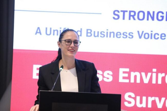 АТА: Албанското правителство се стреми към по-прозрачни процедури, каза министърът на икономиката и иновациите Делина Ибрахимай