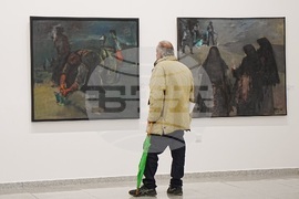 Пловдив - Колю Витковски - изложба