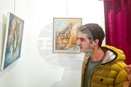 Разград - Ели Маринова - изложба