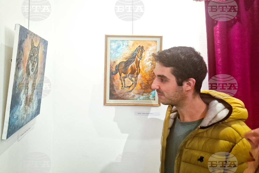 Разград - Ели Маринова - изложба