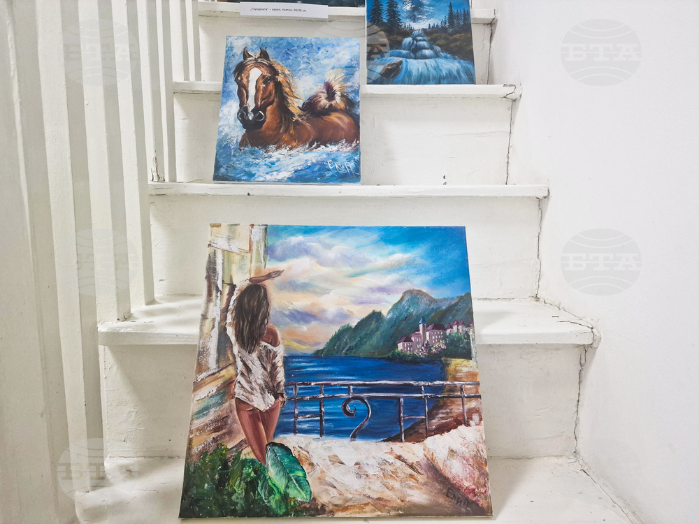 Разград - Ели Маринова - изложба