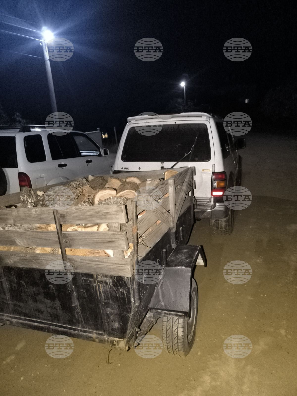 Moški v Petriču oglobljen zaradi nezakonito pridobljenega lesa