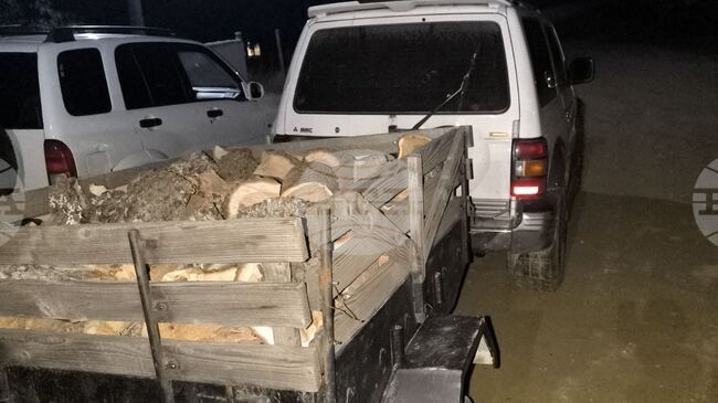 Мъж е глобен заради незаконно придобита дървесина в Петричко 