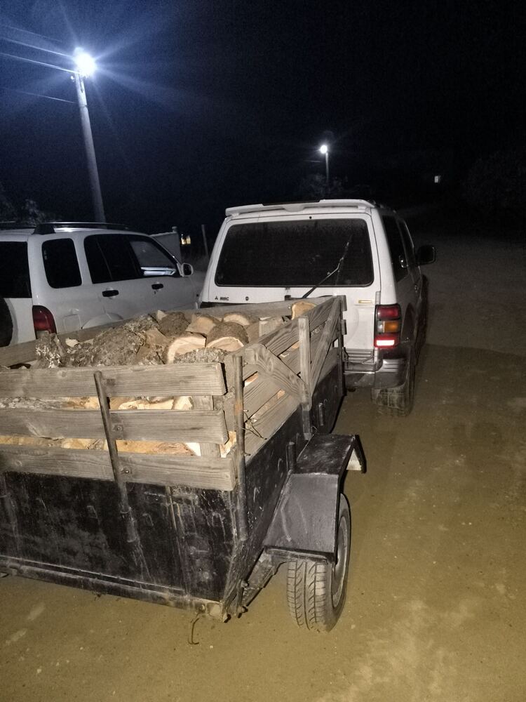 Мъж е глобен заради незаконно придобита дървесина в Петричко 