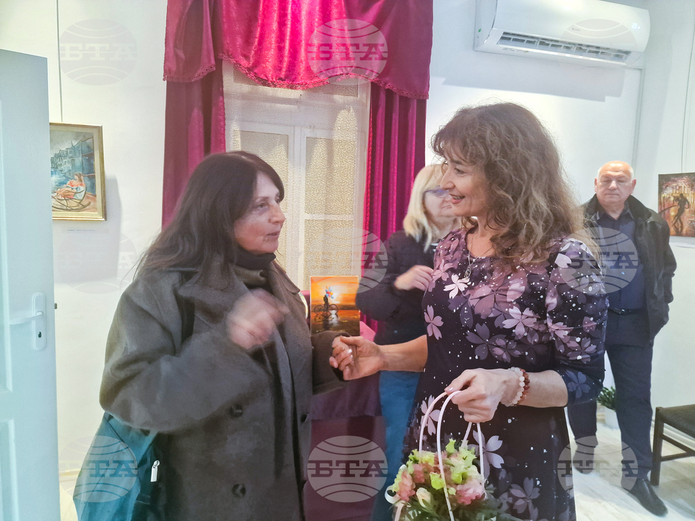 Разград - Ели Маринова - изложба