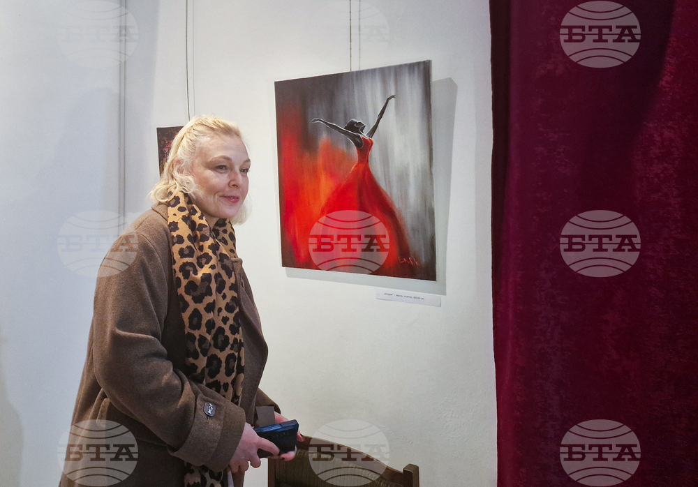 Разград - Ели Маринова - изложба