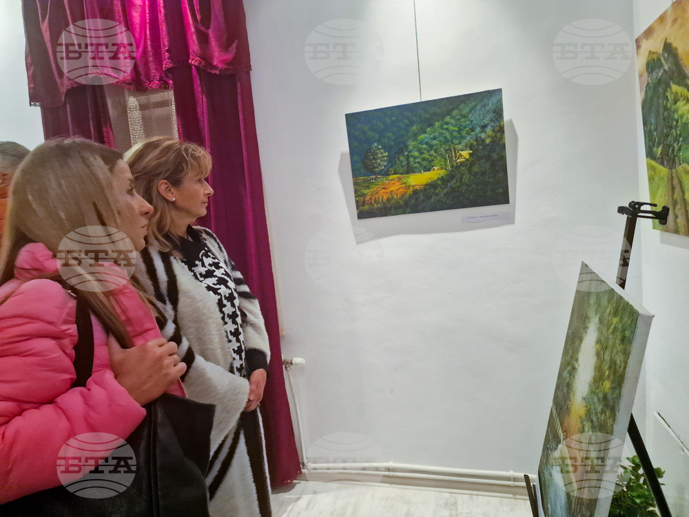 Разград - Ели Маринова - изложба